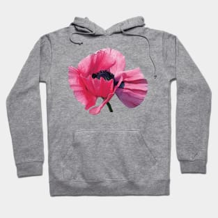 Pink Poppy Closeup Hoodie